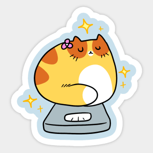 Cat sitting on a Scale Sticker